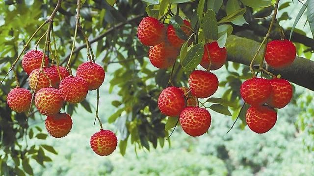 我国正在修建一条超级高铁,投资1170多亿,途径