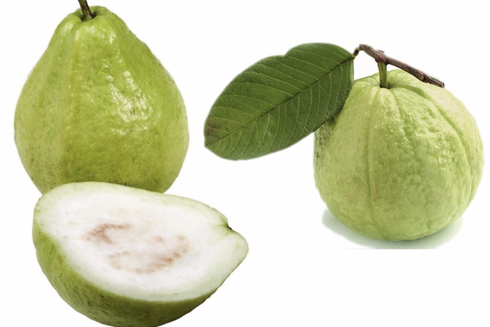 石榴、番石榴和芭乐有什么区别,一样吗?