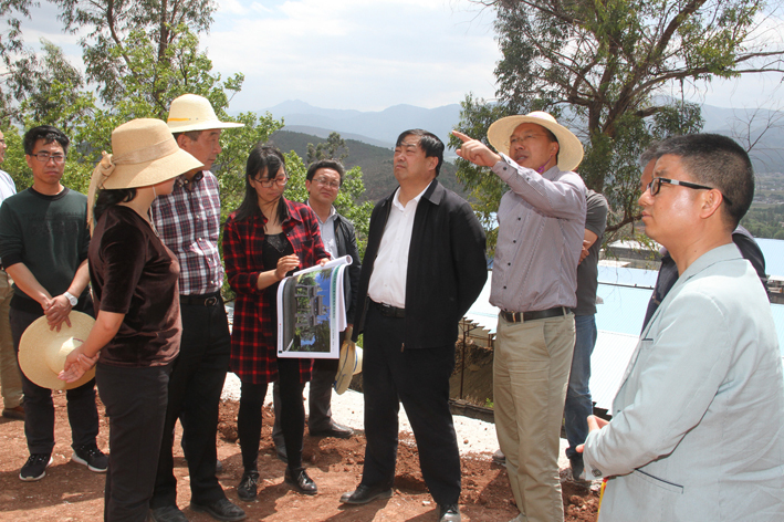 杨健先后深入剑鹤公路宣化关段,鹤庆一中初中部新址,文庙公园城市