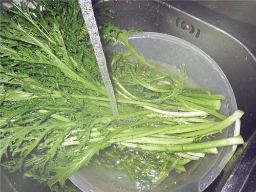 一年生草本植物雪菜(雪里红)是什么菜?什么时