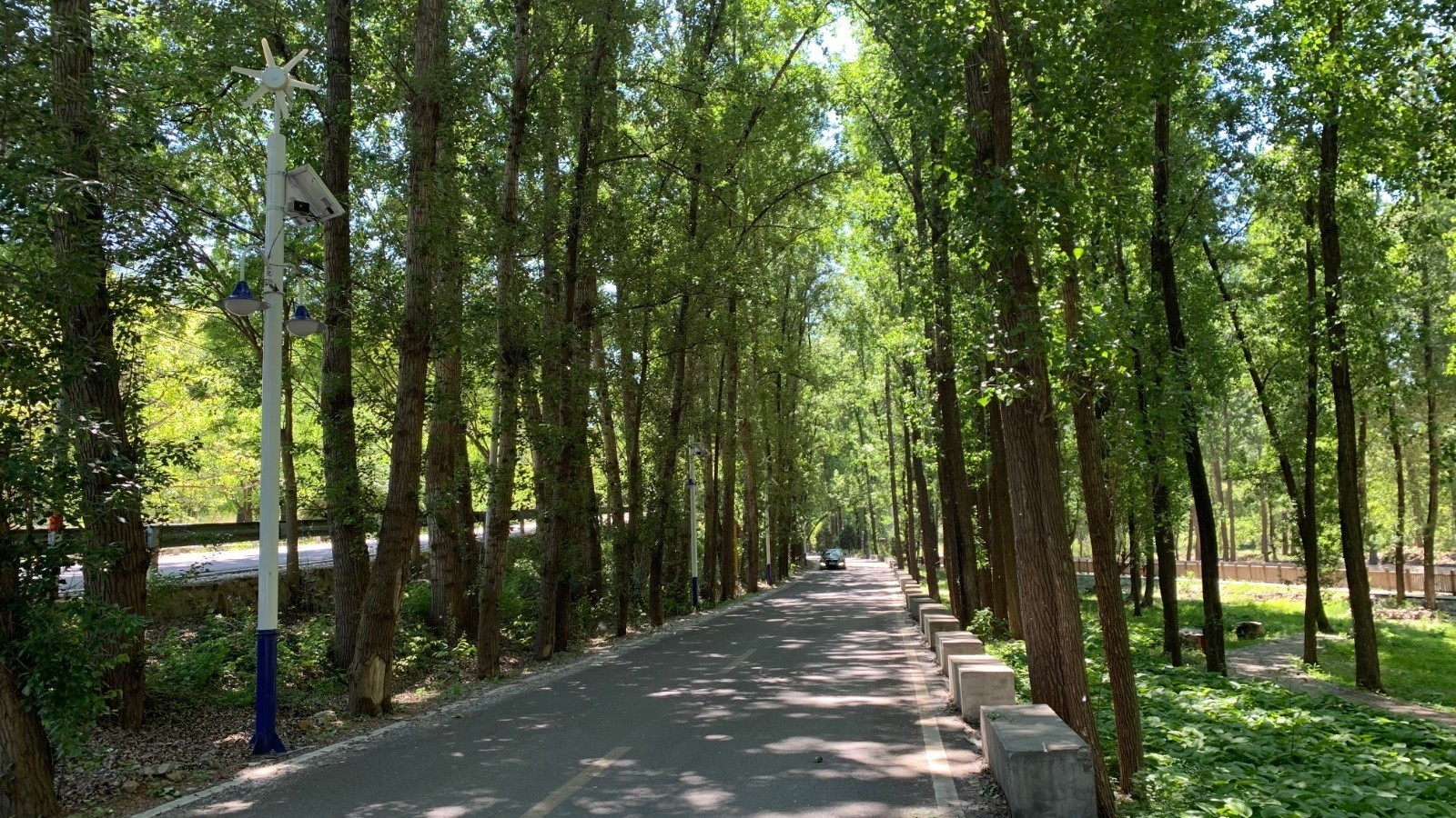 【疏整促】平谷区镇罗营镇打造最美林荫大道迎客来 【疏整促】平谷区镇罗营镇打造最美林荫大道迎客来