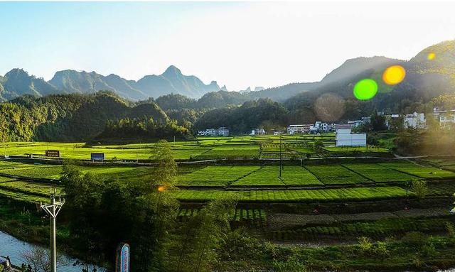 湖北80县域经济排名出炉,利川排名在