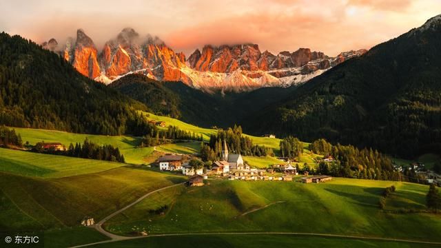 你第一眼看到的是什么动物,看穿潜意识里的你