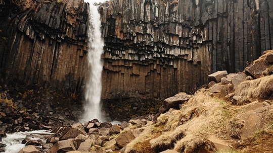 爆笑gif:后面那位怎么把眼都蒙住了!