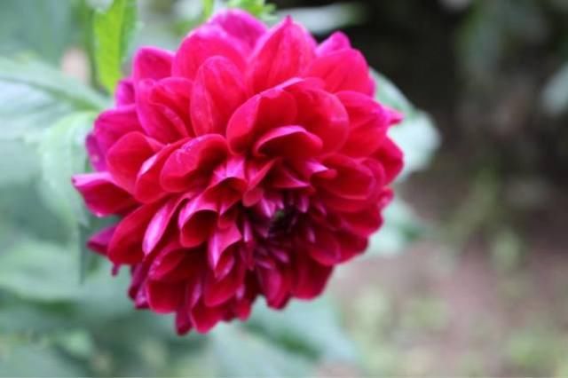 大理四绝风花雪月分别指什么 各有何美丽传说