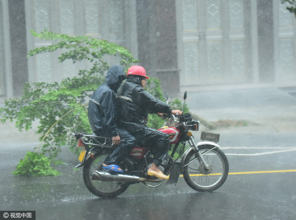 10月18日早晨，琼海市呼啸的狂风令人生畏，漂泼的暴雨下得天昏地暗，不少树木被刮倒折断。