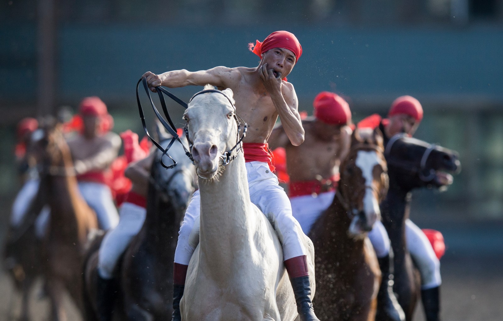 汉武帝为它征战四年 大宛名驹"汗血宝马"真不是吹的!