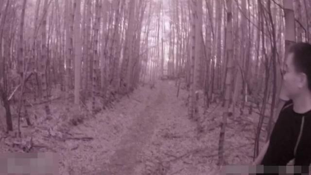 扫黑除恶深山聚赌 警察照样一窝端