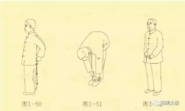 轻松固肾功--养肾又能调颈腰椎