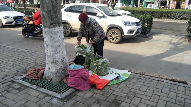 农村老大娘,带着三岁孙女做生意,一天才挣几十