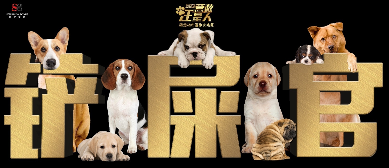 原来当官这么容易 《营救汪星人》再出风趣招聘词 原来当官这么容易 《营救汪星人》再出风趣招聘词