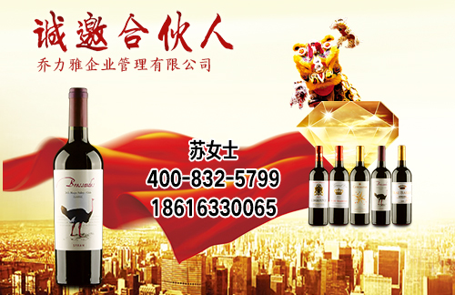 南京高菲红酒加盟领军品牌_南京红酒招商加盟