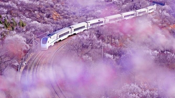 三月，S2线这份赏花攻略您提前收好