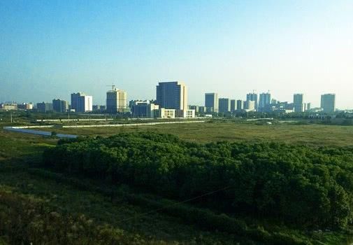 户主去世后,留下来的土地和宅基地,非农户口的