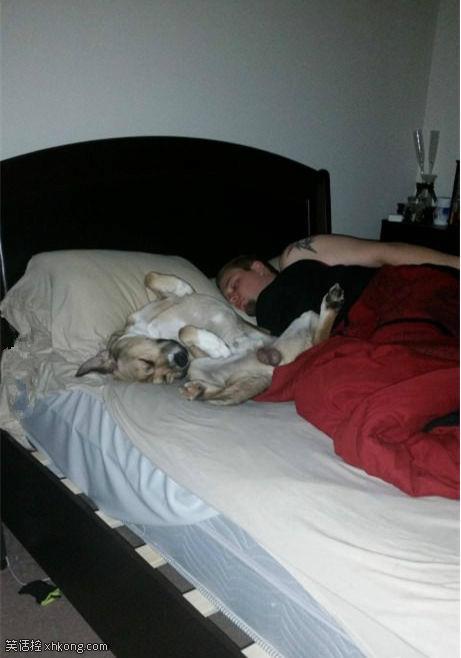 内涵段子:咱们去开个房上厕所吧!