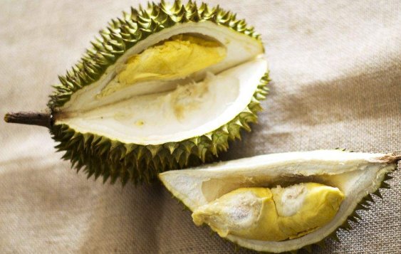 什么时候的榴莲 最好吃且价钱便宜?