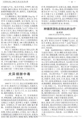 人狗大战:异烟肼毒狗 到底有多危险?