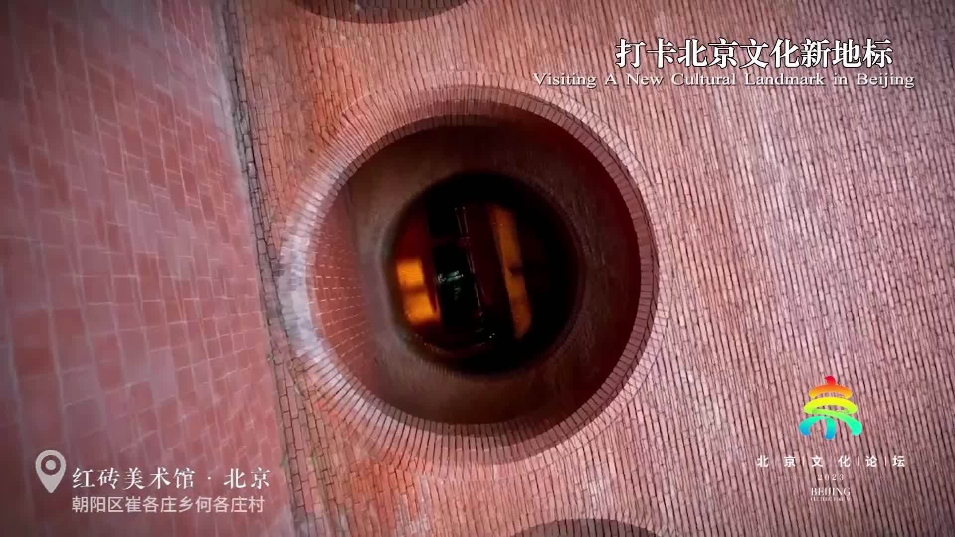 《聚焦全国文化中心建设成就》系列短视频之时尚奶奶打卡网红美术馆