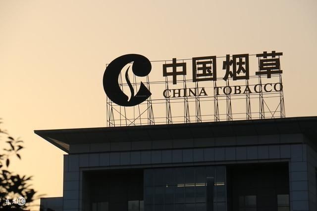 第二, 烟草公司/中烟工业