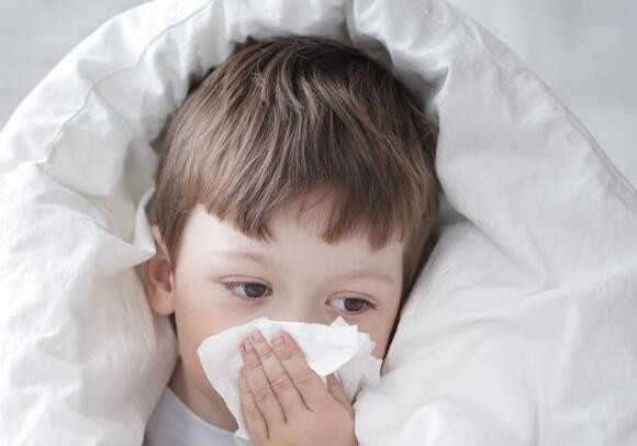 抗过敏益生菌舒敏诺是改善过敏性鼻炎作用机理