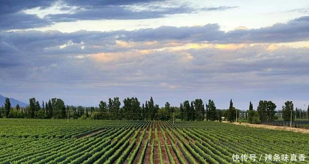 英国已沦落为二流国家,那阿根廷现在能夺回被