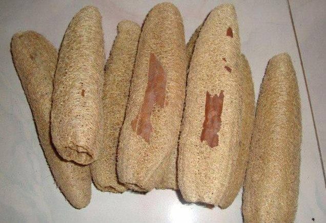 农村老丝瓜晒干磨成粉,治鼻炎3天就见效,效果