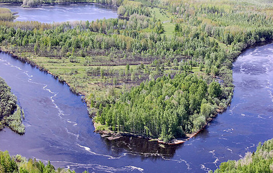 西伯利亚原始森林面积图片