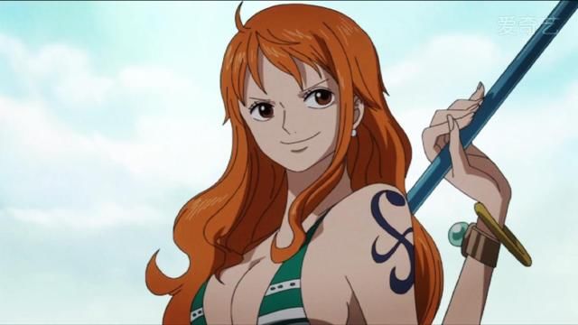 海贼王,假如非要给娜美吃一颗果实,她适合吃什