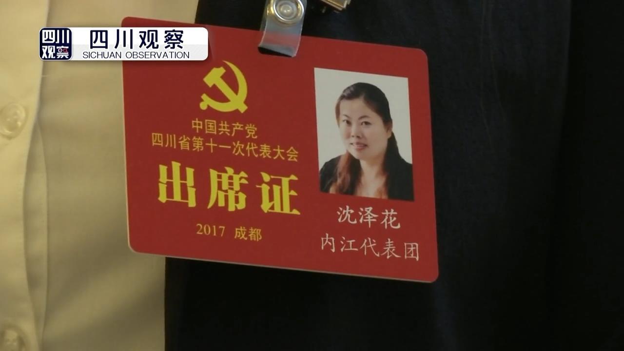 党代表代表证图片