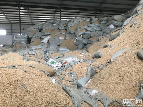 中储粮襄阳库涉嫌挪用上千万粮款 农户追讨四年无果 中储粮襄阳库涉嫌挪用上千万粮款 农户追讨四年无果