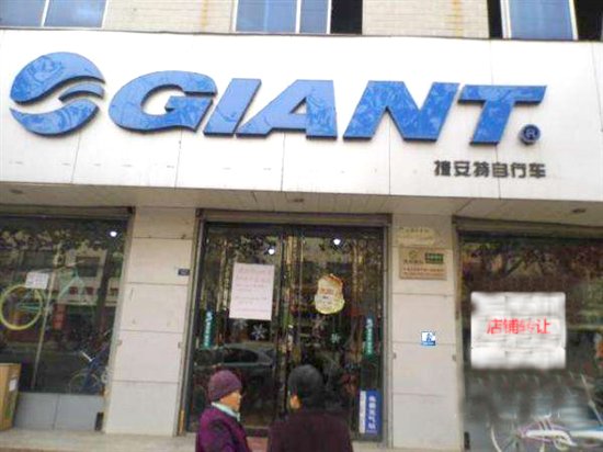 共享单车碾压国产品牌喜德盛捷安特美利达自行