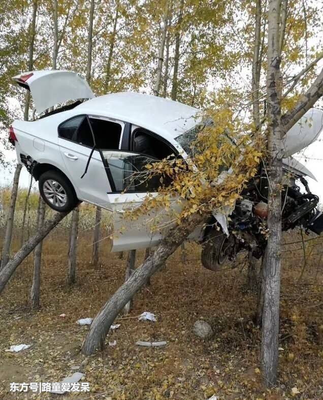 这是真事!涮着火锅吃着红烧肉就能把学分修了
