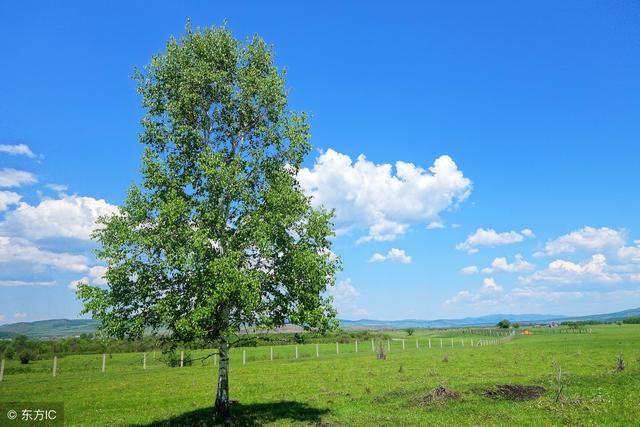 工伤赔偿与民事赔偿兼得相关法律适用