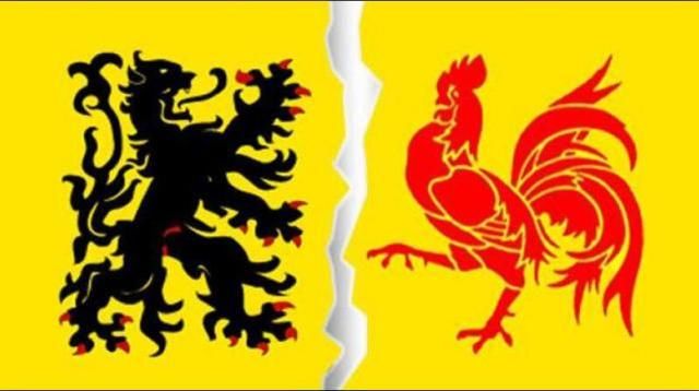 世界杯32强巡礼之比利时欧洲红魔浴火归来