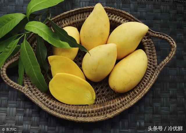 芒果如何大量冷冻储存?
