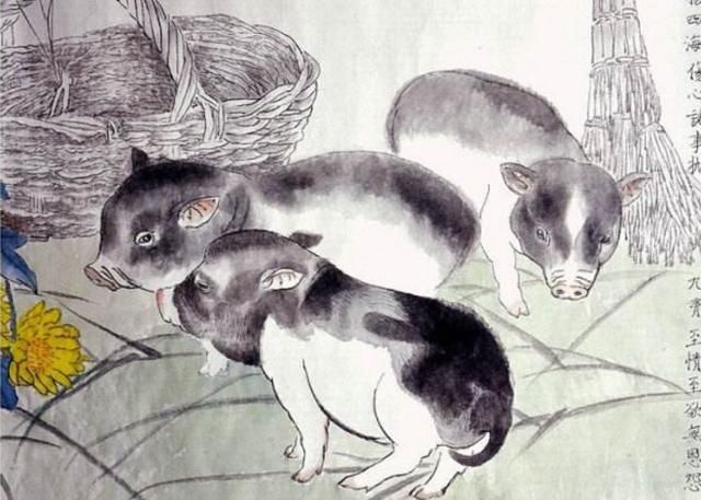 乐天安命,抵不过命运的安排:1971年的苦命猪,你