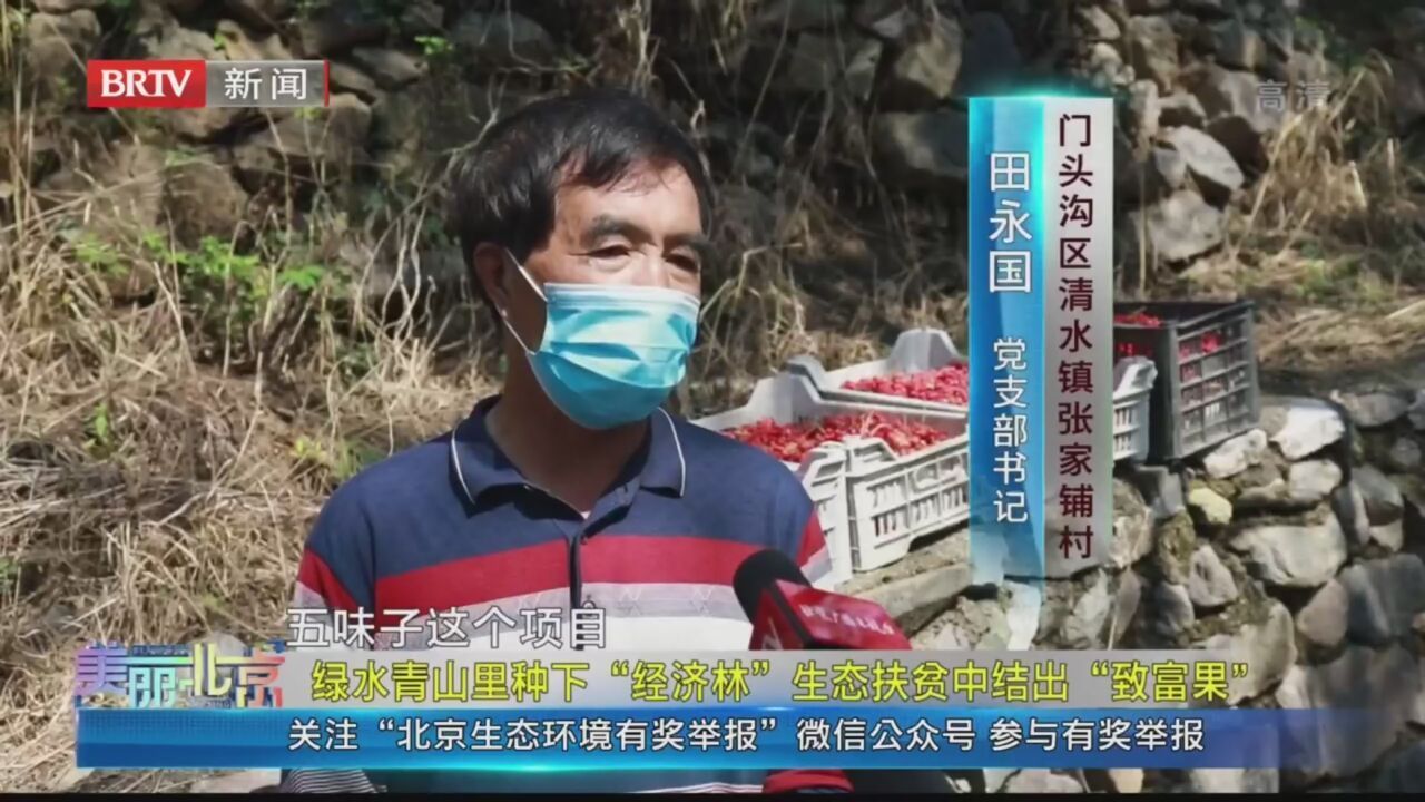 《美丽北京》20211201绿水青山里种下“经济林”生态扶贫中结出“致富果”
