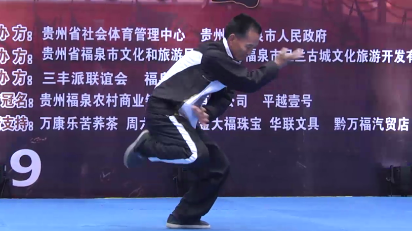 江西岳家拳：敌不动我不动！敌欲动我即动