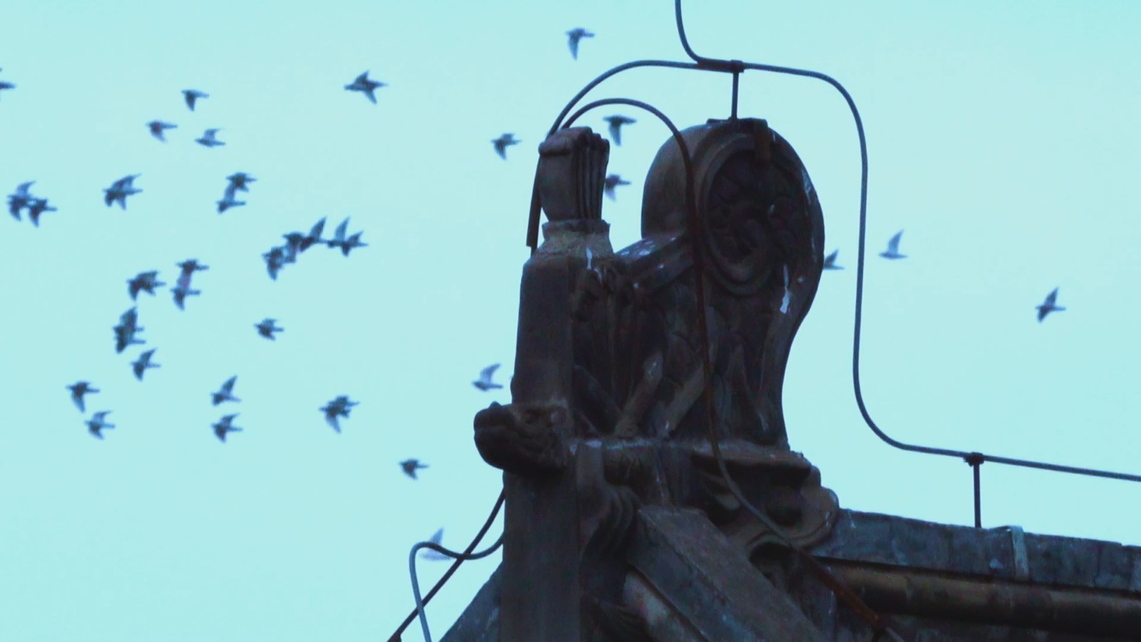 700年史家胡同 京味又回来了 700年史家胡同 京味又回来了