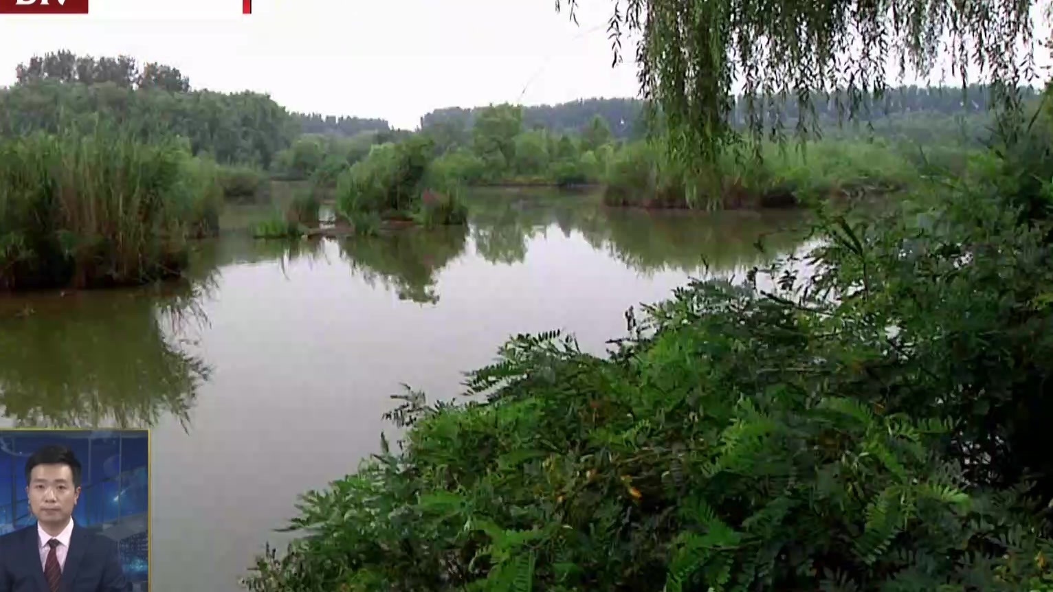 北京市级保护湿地三分之一对公众开放 北京市级保护湿地三分之一对公众开放