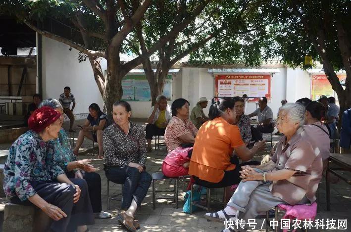 乡村振兴的五大战略目标与途径