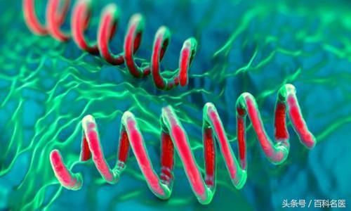 身上四肢起红色的疙瘩?大片的红斑?注意!千万