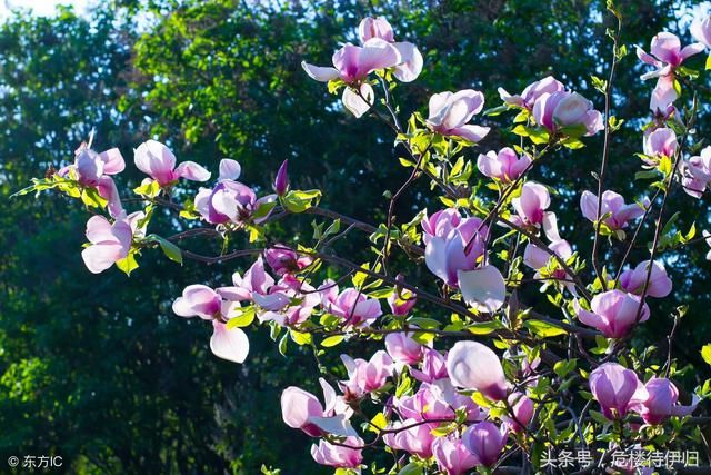 孤独其实也很美,因为它是一个人的狂欢,赞美