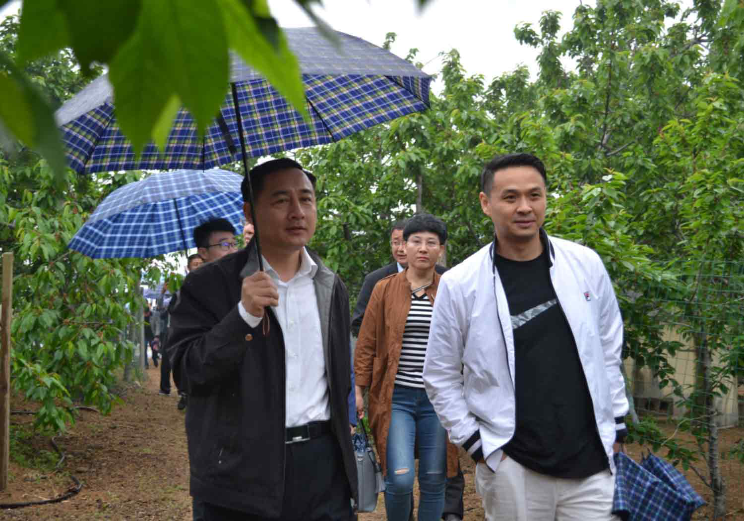 美丽乡村深呼吸记者归来醉邹城