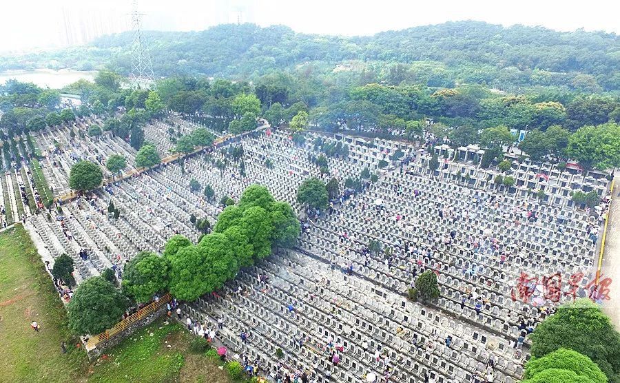 31-04.06】春意萌动 宛若仙境