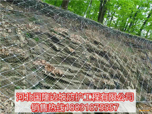 山坡边坡防护网拦截泥石流 山坡边坡防护网拦截泥石流