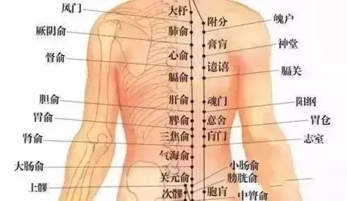 長按一個穴位祛除腰背疼痛!一看就會,一拍就靈!