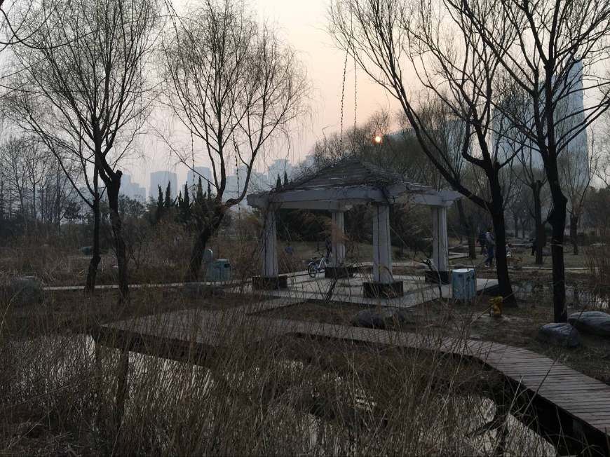 7天治好我孩子过敏性鼻炎的(食疗偏方)值得试