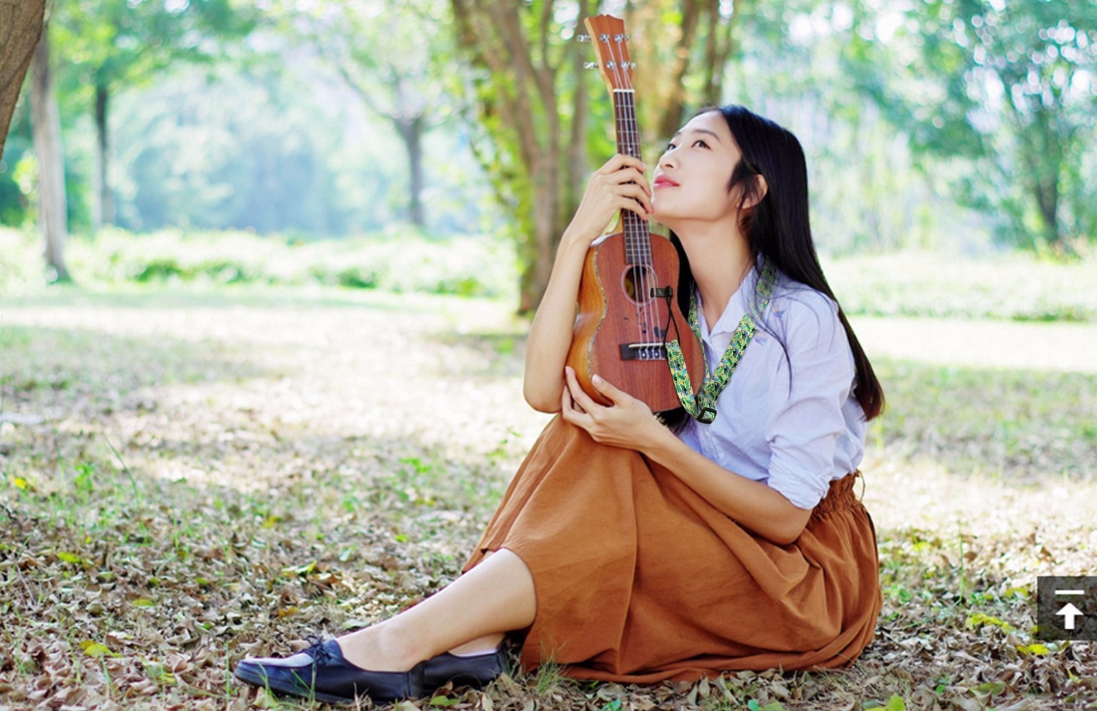 告诉你什么是尤克里里?