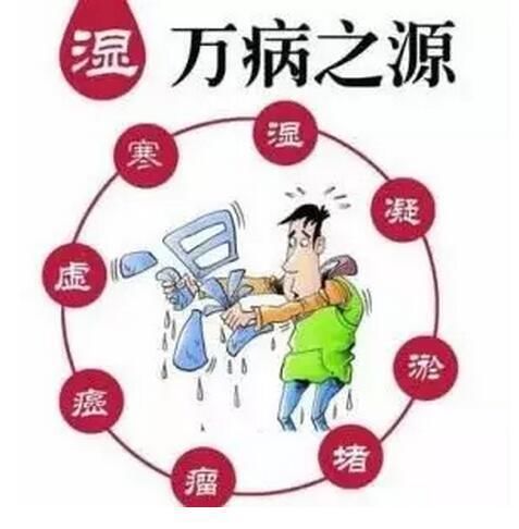 湿气过重易伤身,不容忽视!教你简单1招,祛湿见效快!